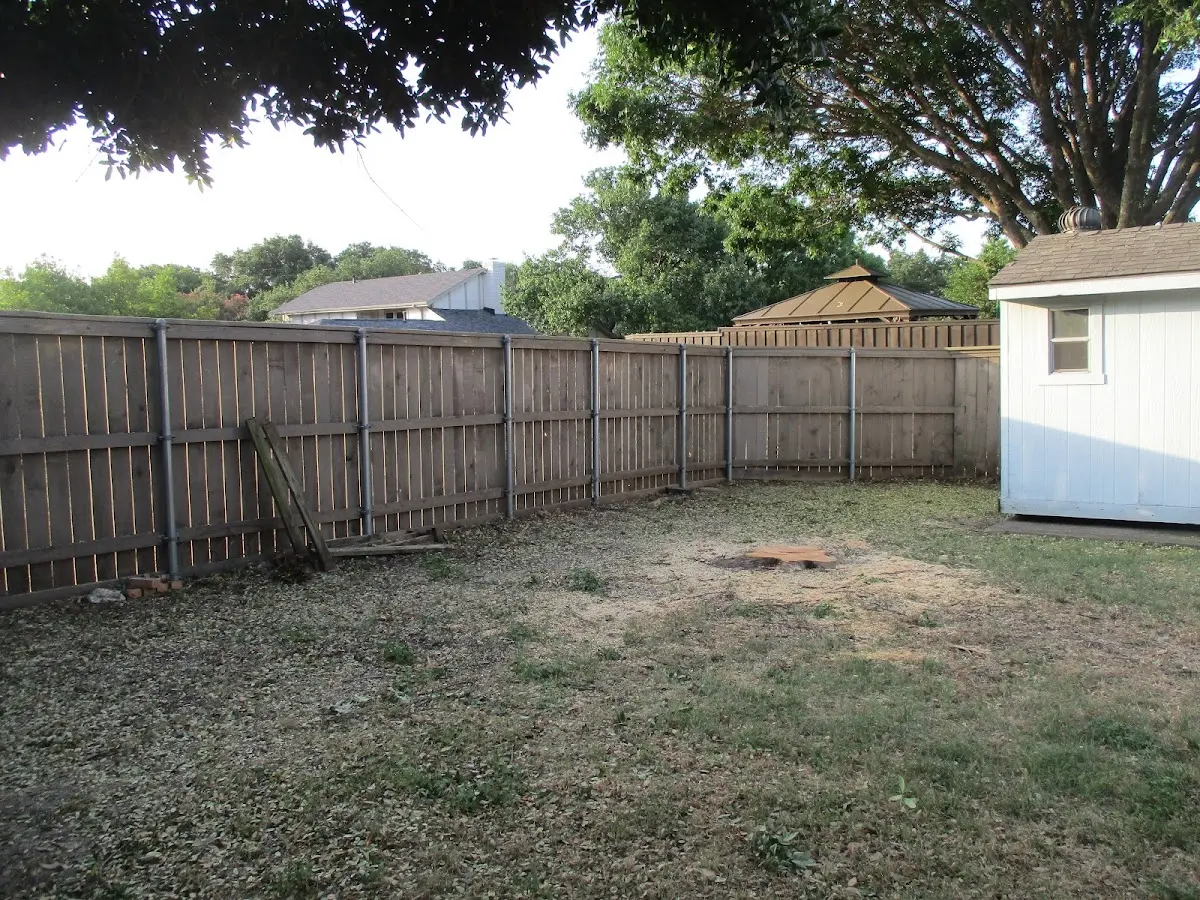 Cleared yard after professional tree removal in Loma